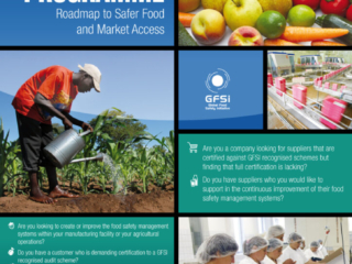 gfsi 2011 global markets flyer recto