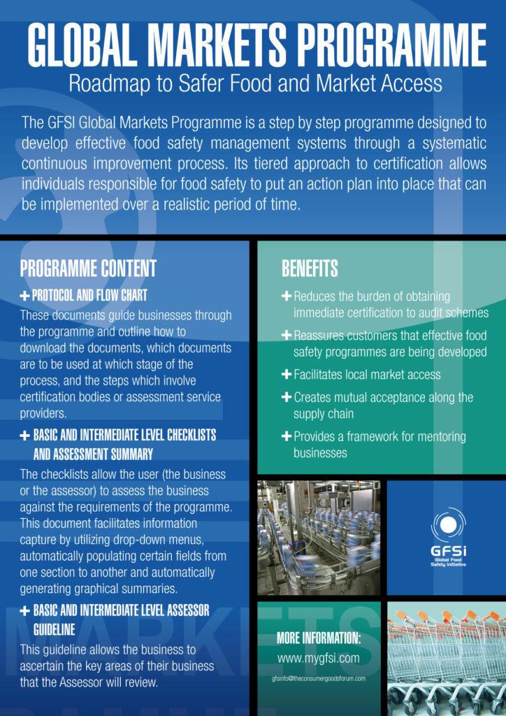 gfsi 2011 global markets flyer verso