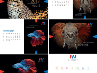 aliznet d&eacute;cembre 2016 calendrier 2017
