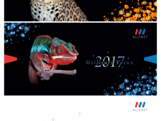 aliznet d&eacute;cembre 2016 - carte de voeux