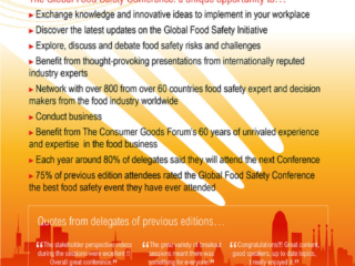 gfsi 2013 flyer verso