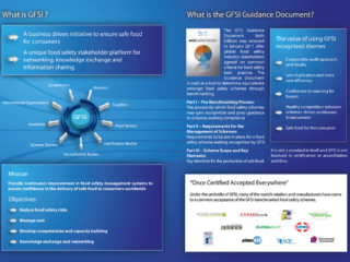 gfsi 2011 flyer corporate verso