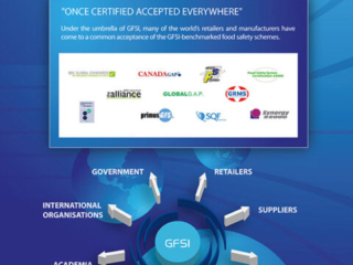 gfsi 2011 banni&egrave;re corporate