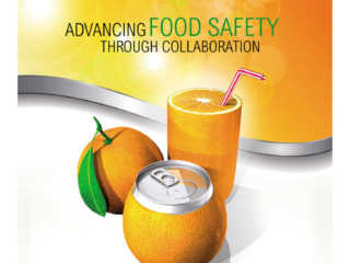 gfsi 2012 flyer recto