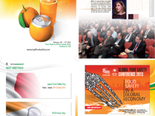 gfsi 2012 conference report