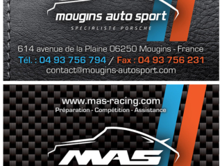 mas carte de visite 2013