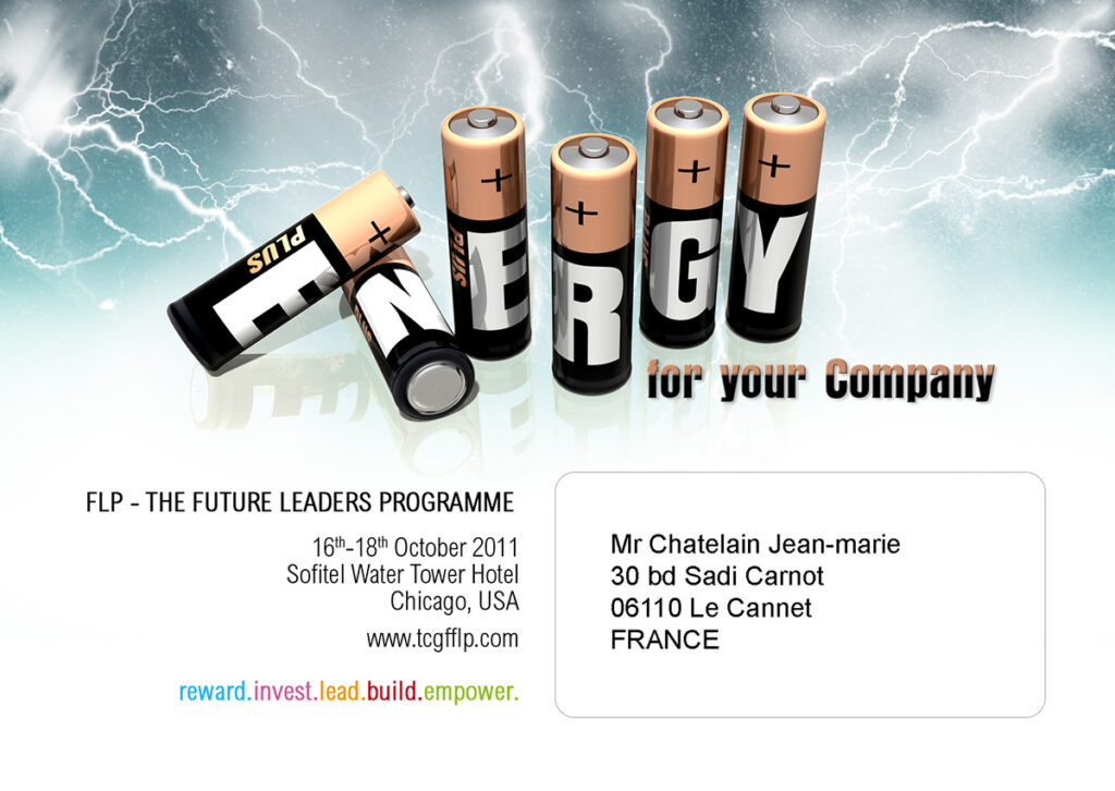 tcgf 2011 future leaders programme