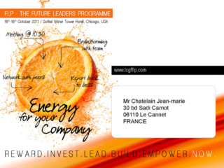 tcgf 2011 future leaders programme