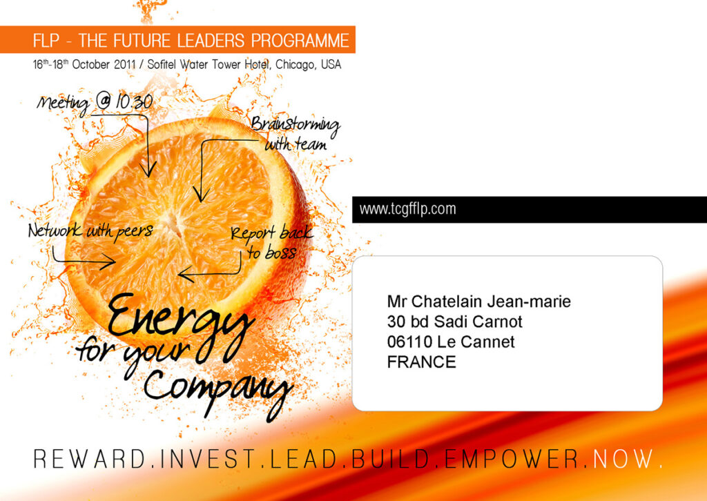 tcgf 2011 future leaders programme