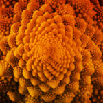 thumbs mediaphique 5