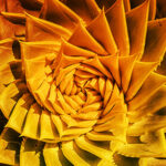 thumbs mediaphique 6