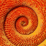 thumbs mediaphique 7