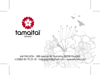 tamaitai 2010 carte de visite