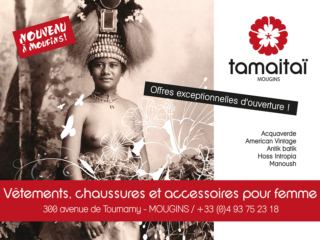 tamaitai 2010 320x240